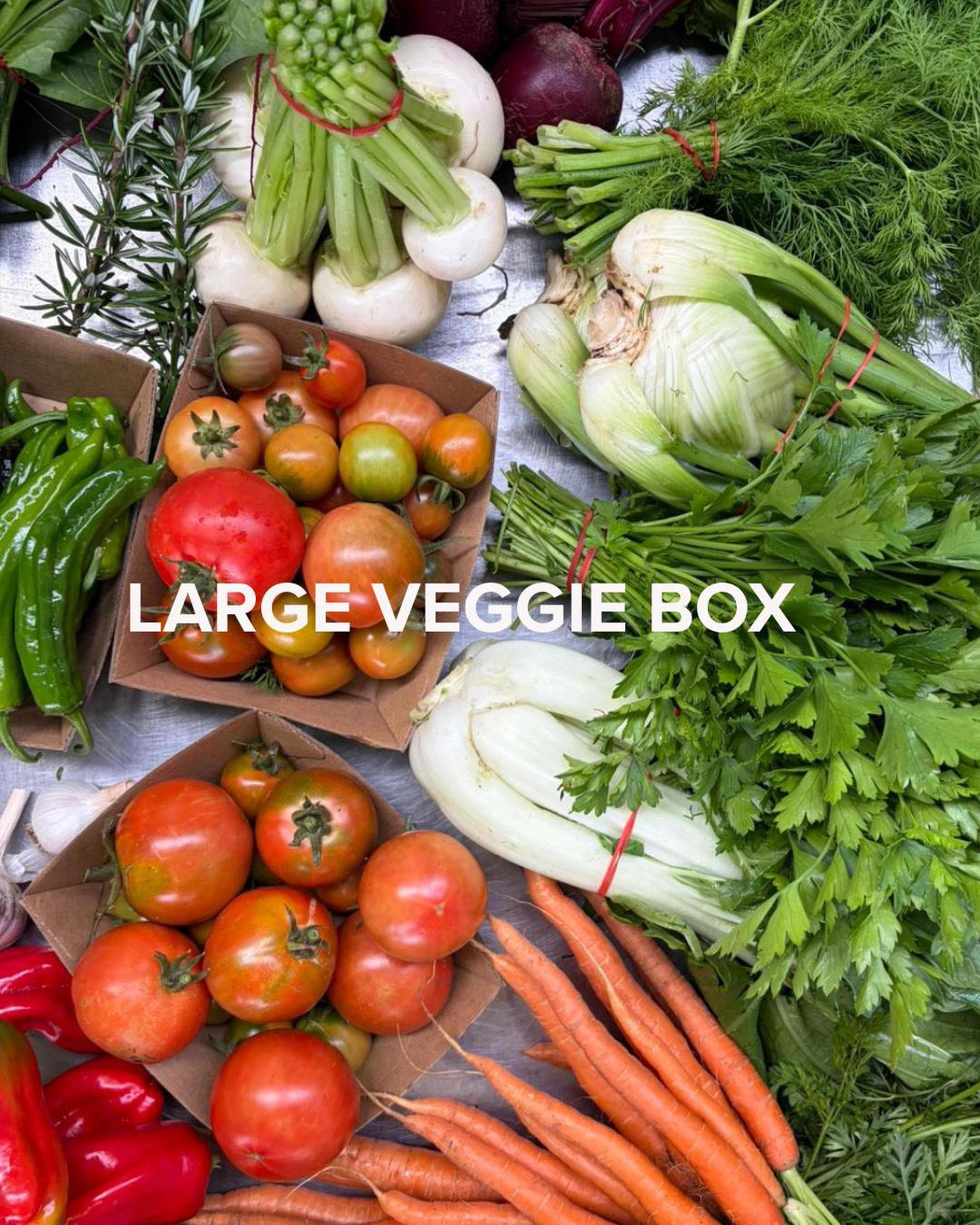 Large Veggie Box